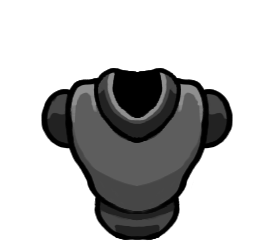 torso